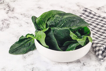 Ripe green spinach leaves heap