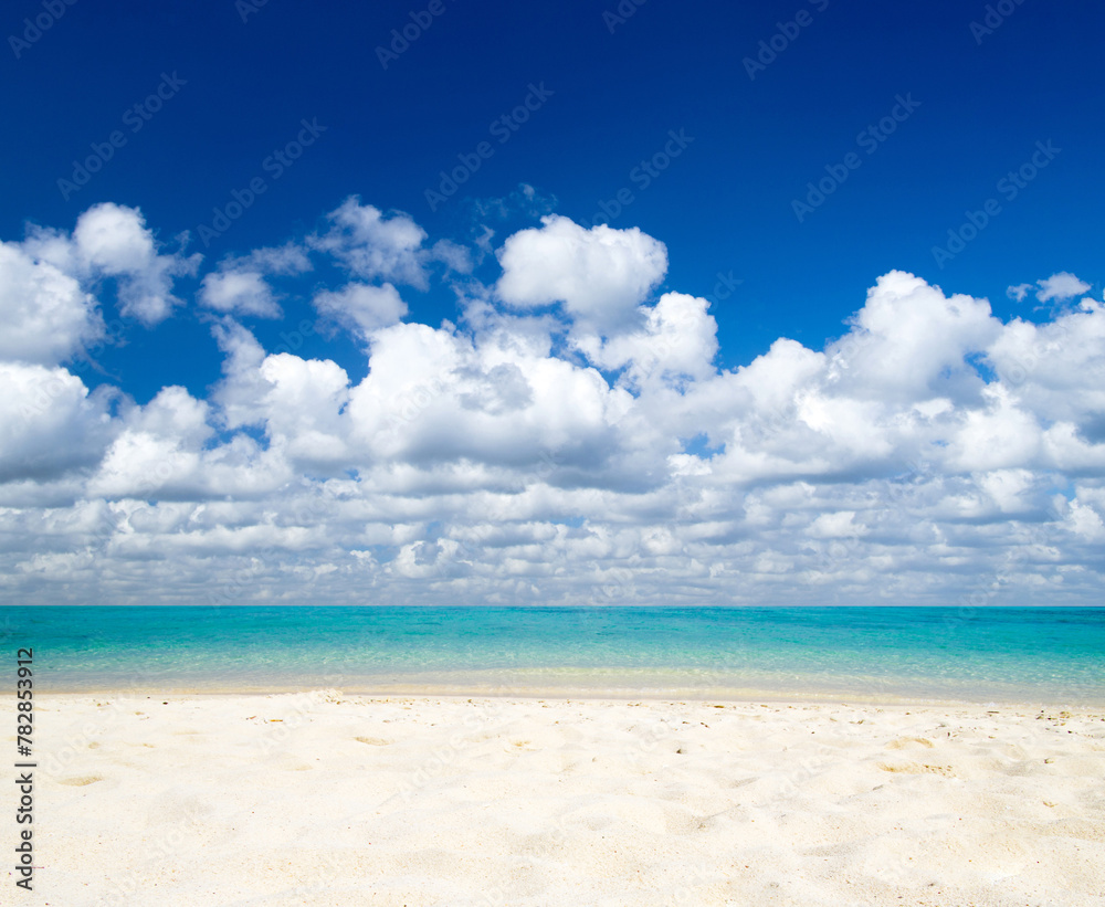 Canvas Prints beach 