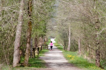woman jogging on a path of a natural park