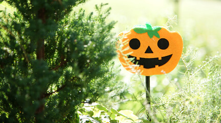 Halloween season pumpkin ghost figurine decorated in the garden on a sunny day