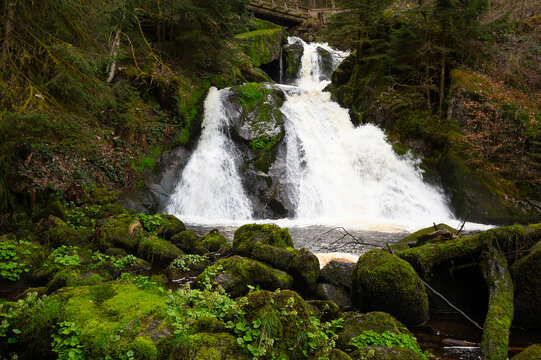 Triberg waterfall in the Black Forest, highest fall in Germany, Gutach river plunges over seven major steps into the valley, wooden bridge