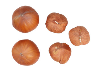 Hazelnuts isolated on a white background, top view