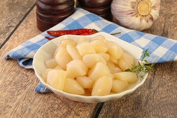 Raw scallop seafood in the bowl