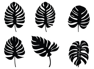 Palm banana leaf silhouette vector. - obrazy, fototapety, plakaty