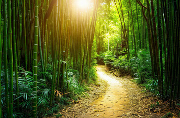 a path in the middle of a bamboo forest - obrazy, fototapety, plakaty