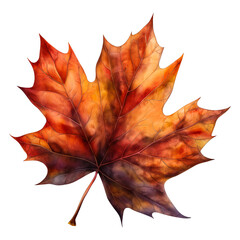 Autumn leaves in watercolor style isolated on transparent background