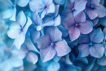 Closeup of blue hydrangea flowers. Floral background. Created with Generative AI technology.