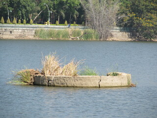 Relaxing Waters: Sankey Tank City Lake