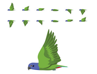 Bird Parrot Pionus Blue-Headed Flying Animation Sequence Cartoon Vector