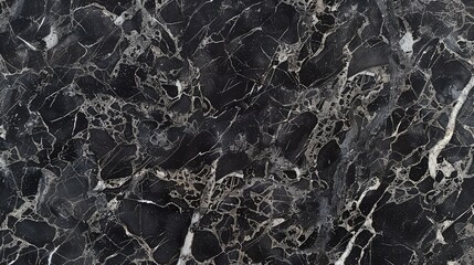 An elegant black marble surface with intricate grey and silver patterns, creating a sophisticated and luxurious feel for any design project. - obrazy, fototapety, plakaty
