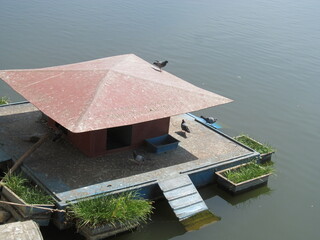 Natural Oasis in the City: Sankey Tank, Bengaluru