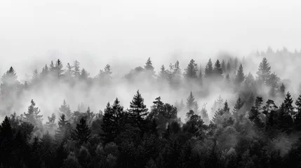 Gartenposter The distinct silhouettes of a thick forest under a heavy fog, creating a monochrome scene against a white sky.  © muhammad