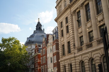 Naklejka premium Urban Elegance: The Giant Wonder