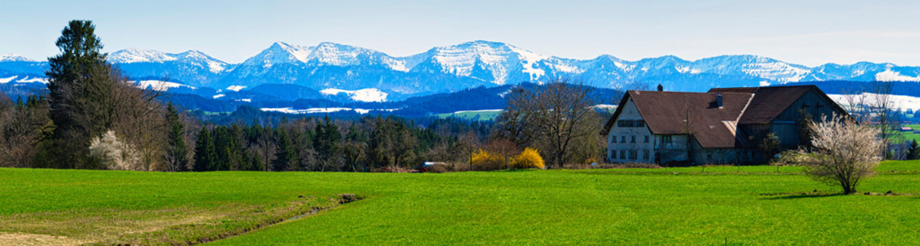 Alpine panorama with the Allgäu mountains Rindalphorn and Hochgrat in late winter (Germany)