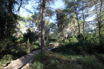 The bridge was built over a gorge and a water obstacle.