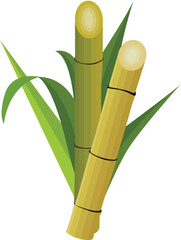 Obraz premium Sugar Cane with Leaf