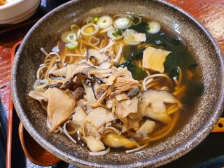 A close-up image capturing a delectable bowl of mushroom ramen, showcasing an assortment of mushrooms, sliced green onions, and tofu immersed in a rich, steaming broth.