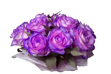 Isolated bouquet of purple roses on a white background	
