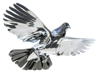 PNG Pigeon animal bird dove