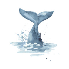 Hand drawn watercolor sketch, blue whale tail in the water, vector fish dives.
