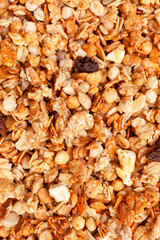 Muesli oat cereals with raisins, dried fruits and sunflower seeds background. Top view