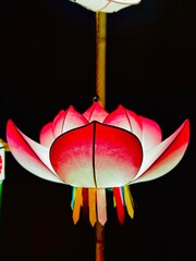 The lotus lantern for good luck on the Chinese New Year  