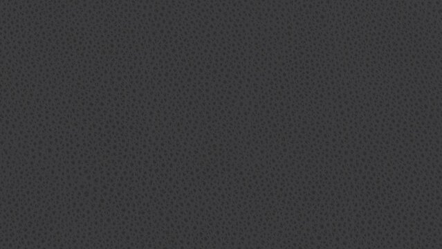 Lether Texture Black