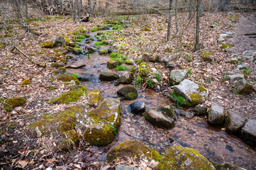 Moss covered stones line the path of a woodland stream A gentle idyllic Pennsylvania creek flows through the early Spring woods. Enchanted forest concept