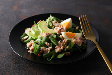 Salad with tuna on a dark table with a fork.