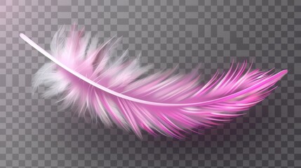 The pink fluffy feather modern realistically isolated on a transparent background is symbolized as softness and purity. Pink soft feather from tropical birds or angel wings, symbolic of softness and - obrazy, fototapety, plakaty