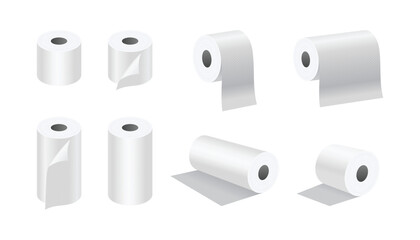 Toilet Paper Roll and Kitchen Towel Set on White Background. Vector