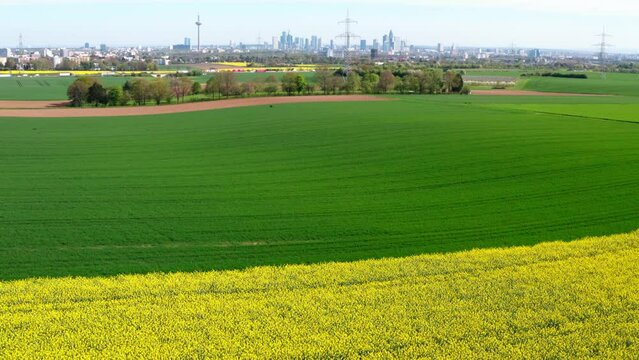 spring nature in front of the skyline of frankfurt germany from above 4k 25fps video