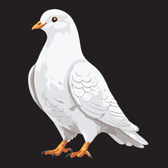 Discover the serene beauty of pigeons and doves with our meticulously crafted editable vector realism art, created using Adobe Illustrator. Elevate your designs with tranquil grace