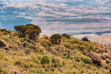 Beautiful mountain highland landscape, Somali Region. Ethiopia wilderness landscape, Africa.