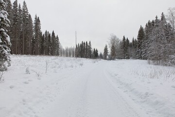 Plowed rural road with tire tracks that is lined with trees in cloudy winter weather with snow on the ground, Finland.