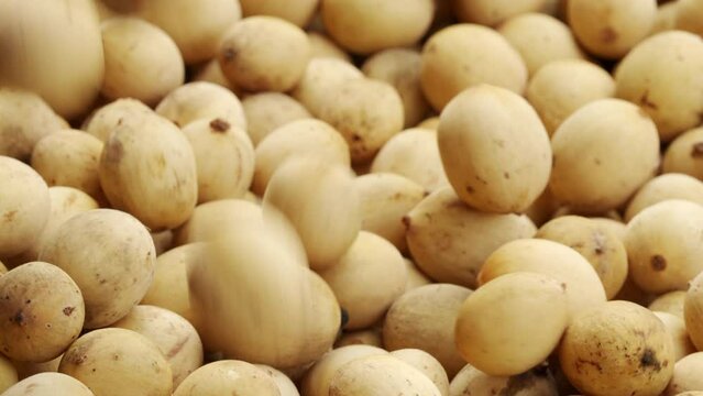 Slow-motion, lansgat fruit, lansium parasiticum, longkong, lanzones, tropical