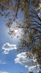 The photos were taken in France in the town of Amiens 80080 on April 10, 2024. They highlight the summer