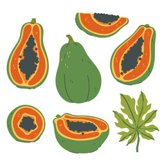 Set of papaya and pieces isolated on white background. Vector graphics.