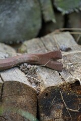 Vertical shot of a rusty cat's claw tool on a wooden log