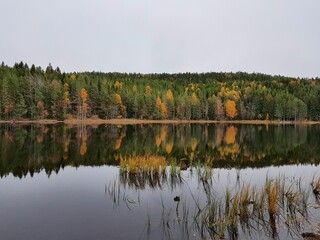 Scenic view of a calm lake with reflection of autumnal forest on the water surface