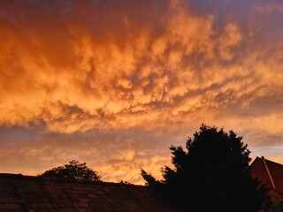 Scenic sunset with orange clouds in the sky and silhouettes of trees and a roof