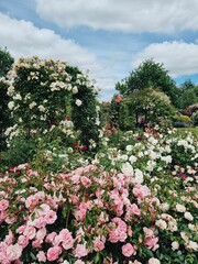 Vertical shot of a botanical garden with roses and greenery under a cloudy sky