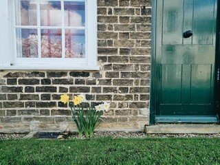 Front of a house with a green door and a window and daffodils on the doorstep