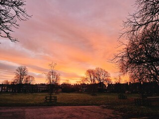 Scenic sunset with a yellow sky and silhouettes of trees and buildings on the field