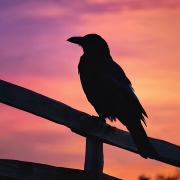 AI-generated illustration of a silhouette of a crow perched on a wooden fence