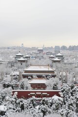Vertical shot of the Forbidden city covered in snow in Beijing, China