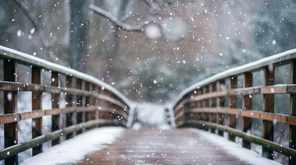 wooden bridge in the park in winter.  - Powered by Adobe
