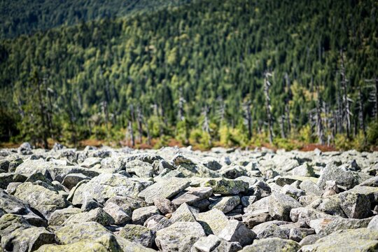 Granite blocks on Lusen summit in Bavarian Forest National Park