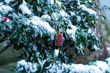 Chinese Omamori blessing bag hanging on a snow-covered tree in the garden of a temple
