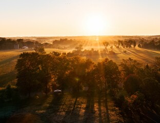 Aerial view of trees in Golden Fields on the sunrise in Newtown, Pennsylvania